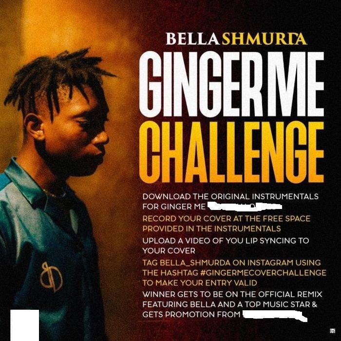 Instrumental: Bella Shmurda – Ginger Me [ Challenge ]